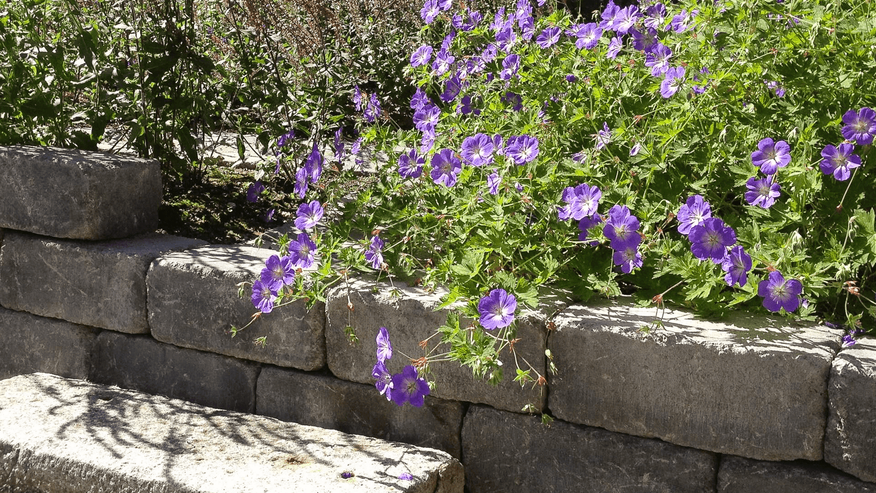 Jordguiden - allt du behöver veta om jord - Stenbolaget