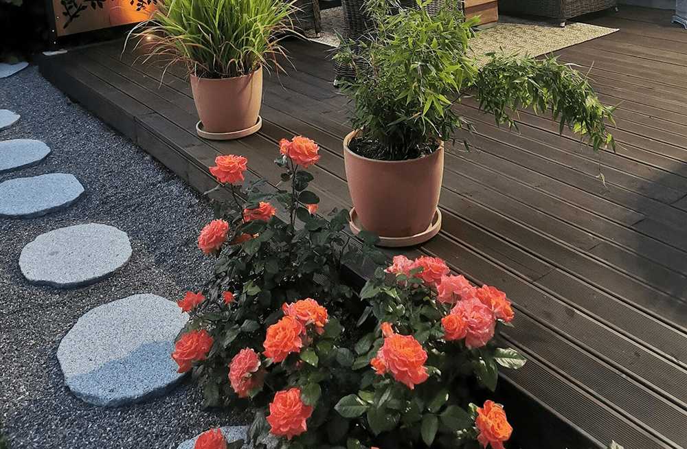 Skapa en naturlig gång i trädgården med trampstenar i natursten - Stenbolaget