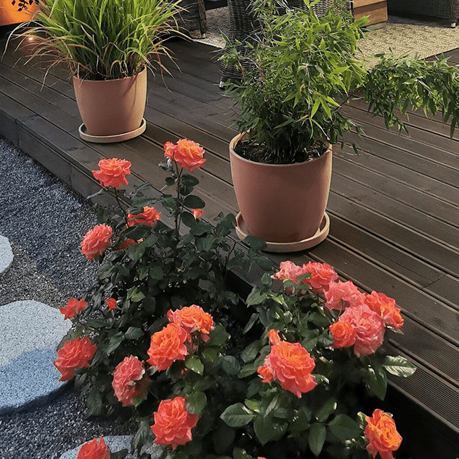 Skapa en naturlig gång i trädgården med trampstenar i natursten - Stenbolaget