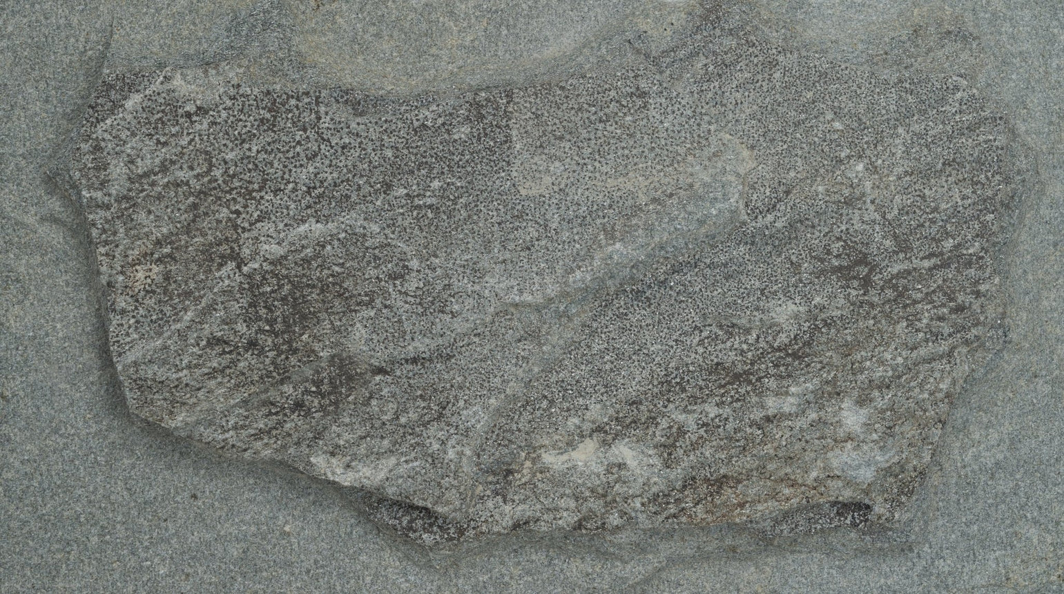Murbeklädnad Glimmerskiffer FallandeX300X20 - 30 - Stenbolaget