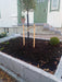 Murblock Bergama Granit Rustik Grå 500x500x120 - Stenbolaget