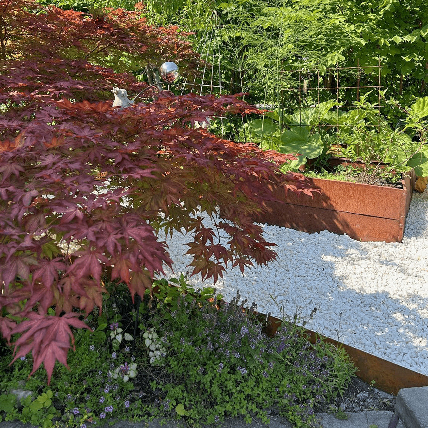 Cortenstal () Cortenstal