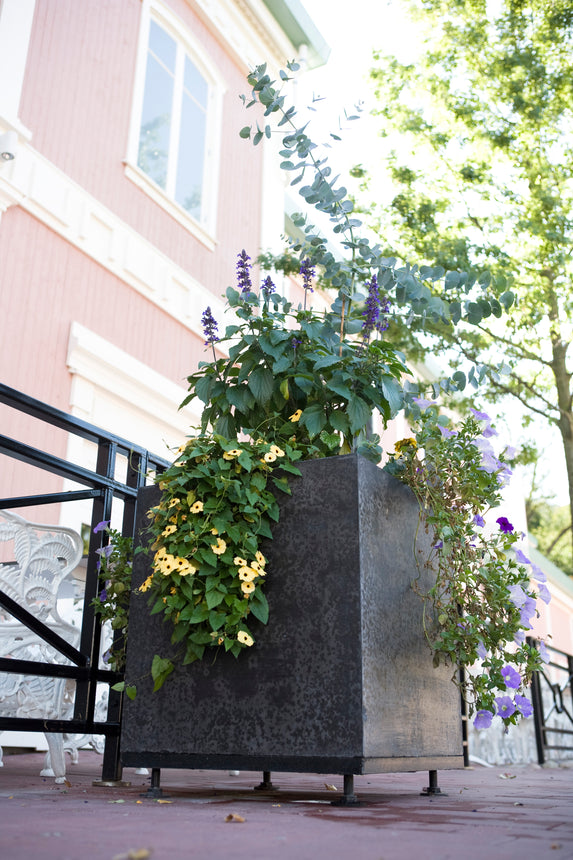 Bergen Fundament Antracit 800x800 | Stenbolaget.