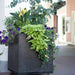 Bergen Kruka Antracit 600x600x675 - Stenbolaget