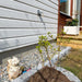 Dekorsten Riverstone Multicolor 10 - 20 20kg - Stenbolaget