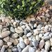 Dekorsten Riverstone Multicolor 10 - 20 20kg - Stenbolaget