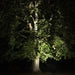 Markspotlight Castor LightsOn - Stenbolaget