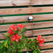 Mark/Väggspotlight Zenit 5 - pack LightsOn - Stenbolaget