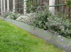 Planteringskant Aluzink Rak 500x180 - Stenbolaget