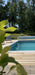 Poolsten Bergama Granit Rak Grå 600x300x30 - Stenbolaget