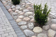 Rustik Grafitmix 200x133x50 - Stenbolaget