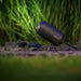Spotlight Castor 9 Lightpro - Stenbolaget