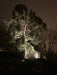 Spotlight Castor 9 Lightpro - Stenbolaget