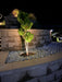 Spotlight Juno 2 Lightpro - Stenbolaget