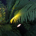 StartpaketLuna Black LightsOn - Stenbolaget