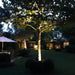 StartpaketLuna Black LightsOn - Stenbolaget