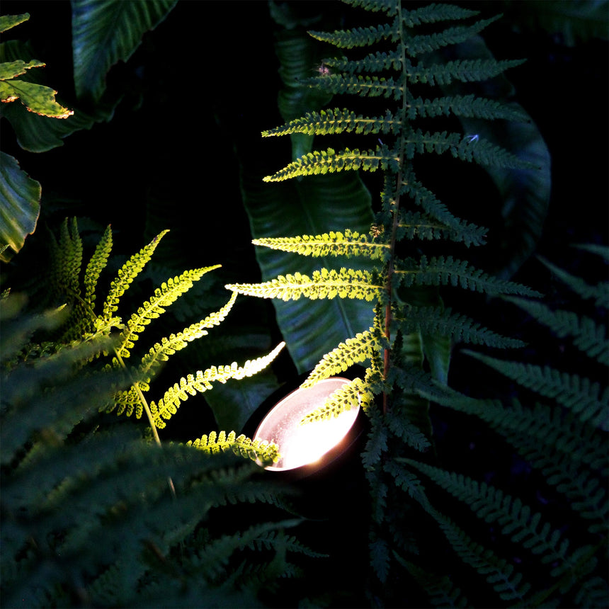 StartpaketLuna Black LightsOn - Stenbolaget